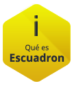 ¿Qué es e-SQUADRON?